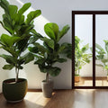 Aluminum Bifold Door 60"Wx80"H - OUT SWING FROM EXTERIOR VIEW image 0